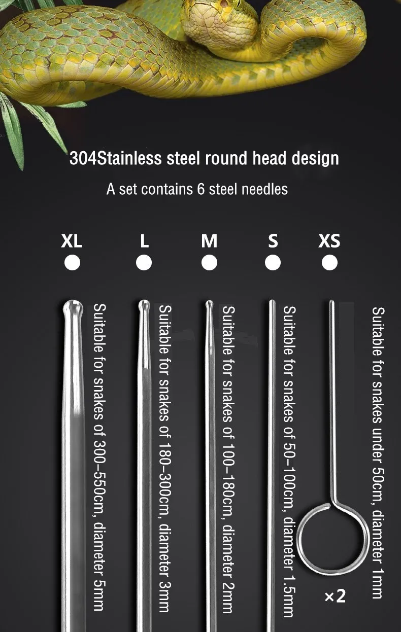 6Pcs/Set Pro Reptiles Snake Se - Probe Tip Accessory Kit ulasan dan harga